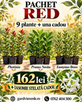Pachet Red