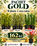Pachet Gold